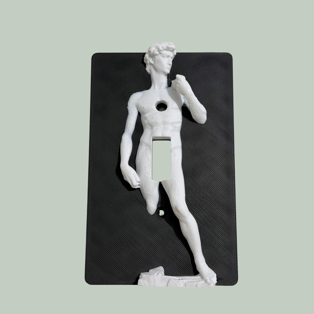 David Statue Light Switch Cover Plastic Black White Renaissance Art Wall Plate